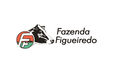 3 - Fazenda Figueiredo